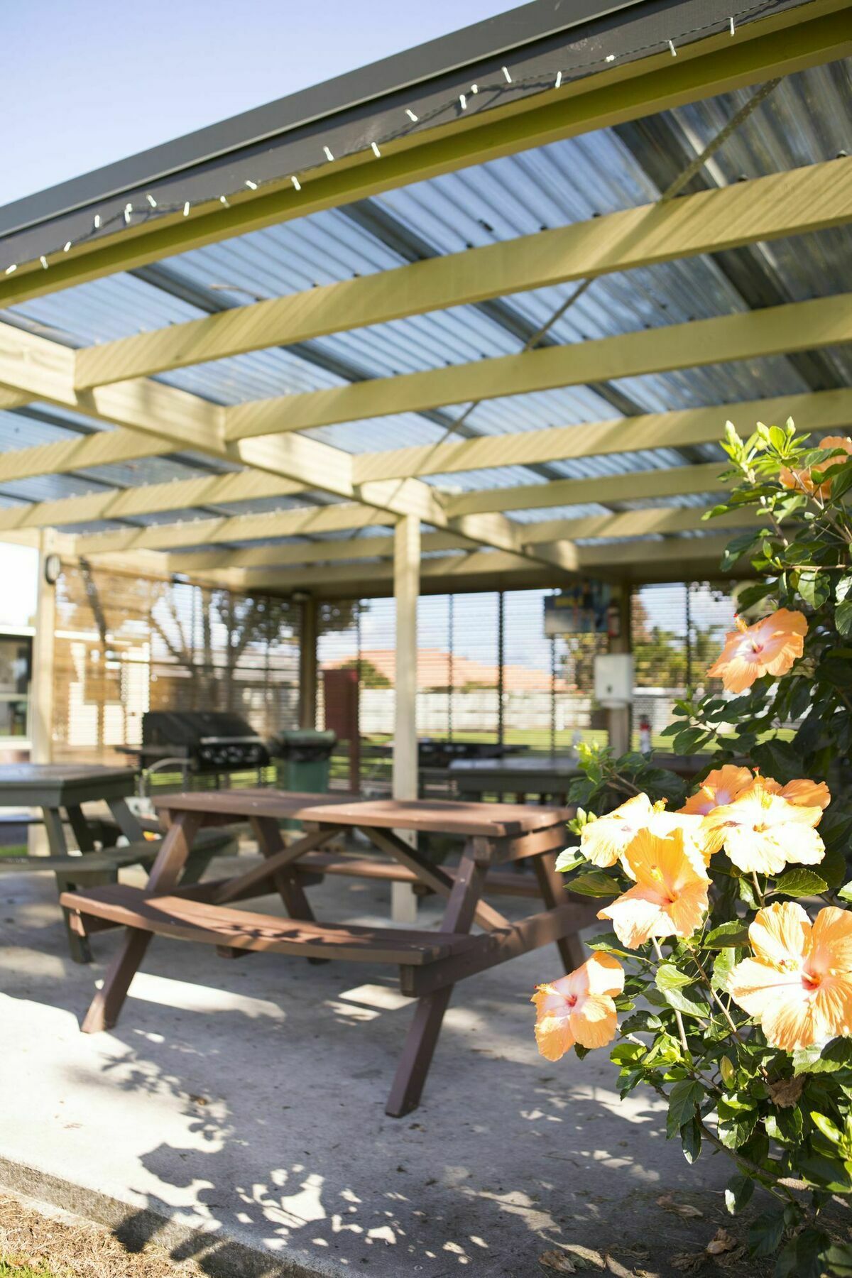 Mercury Bay Holiday Park Whitianga Buitenkant foto